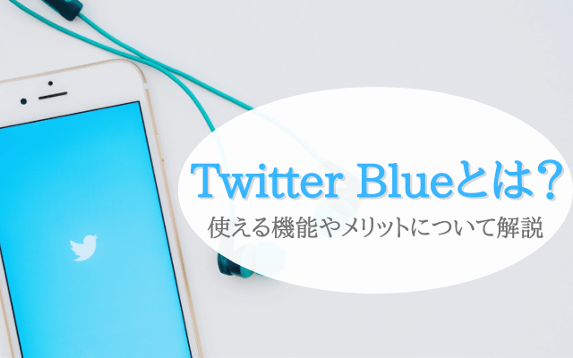 Twitter Blueとは？使える機能やメリットについて解説！